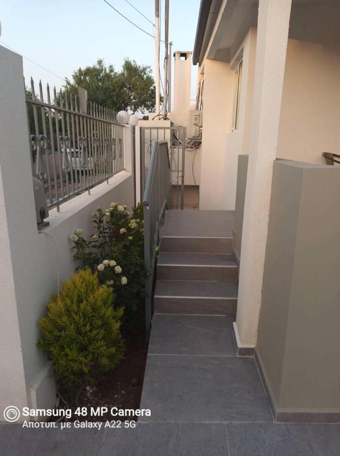 Oresti'S Villa Near Airport & Beach Ártemida Kültér fotó