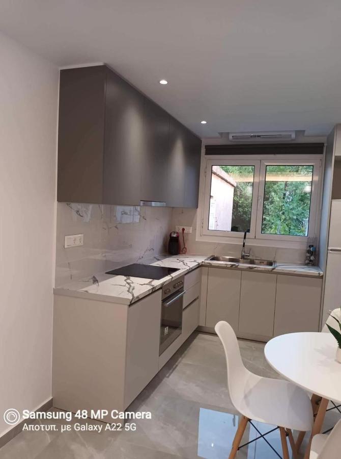 Oresti'S Villa Near Airport & Beach Ártemida Kültér fotó