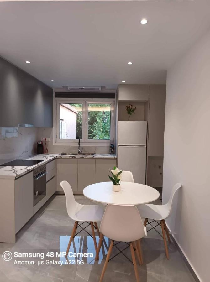 Oresti'S Villa Near Airport & Beach Ártemida Kültér fotó