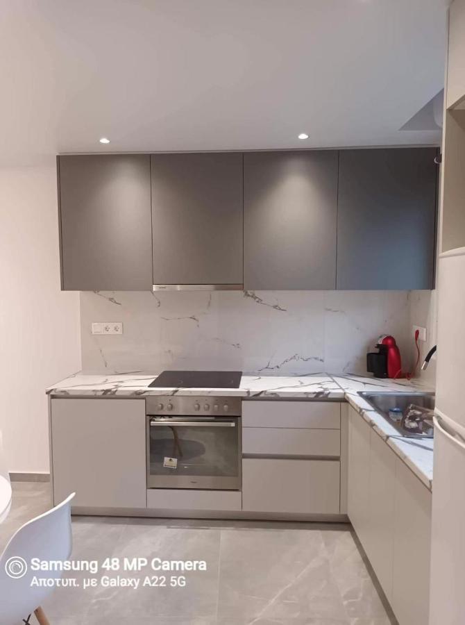 Oresti'S Villa Near Airport & Beach Ártemida Kültér fotó